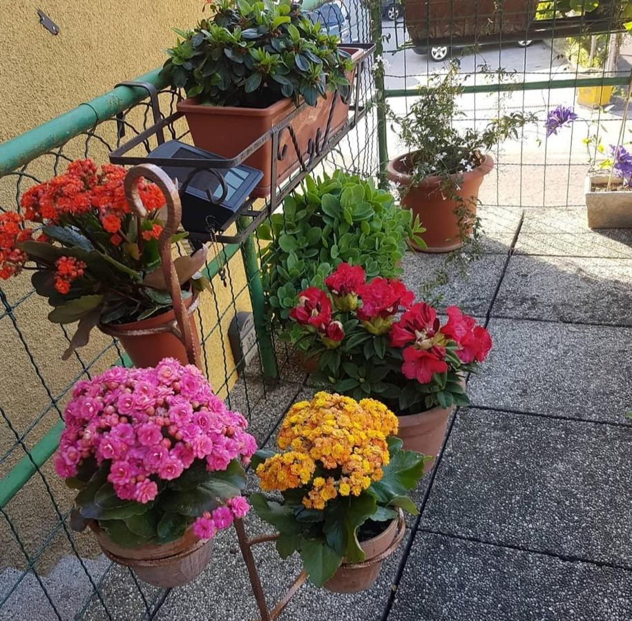 Alloggio Con Idromassaggio E Super Vista Nave San Felice Exterior foto